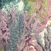KAKOZUKOの画像