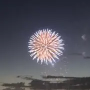 たかの画像