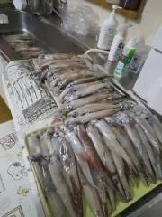 ゆーきの画像