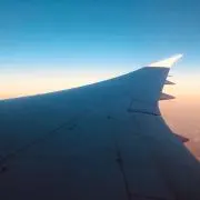 しょうの画像