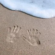 ココナッツ☆即購入可⭐︎復活中の画像