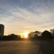 マルの画像