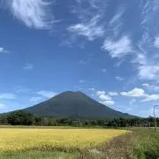 ころの画像