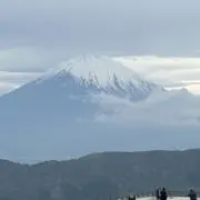 Ponの画像