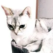 ジジちゃん