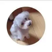 ともさんかく
