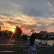 sacの画像