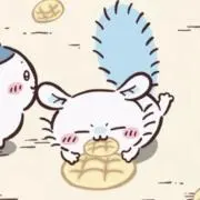 ハチちゃんの画像