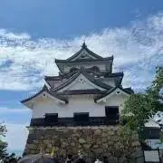 さかきの画像