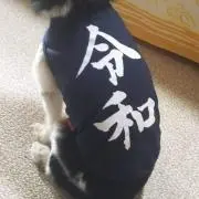 チビよう★プロフ必読の画像