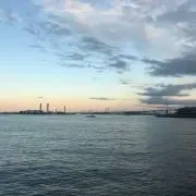 paapaの画像