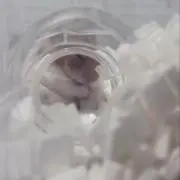 ほっぺの画像