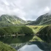 トトロロの画像