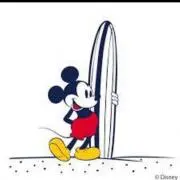 ラクダ