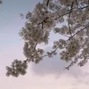 ケイ♡
