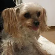 Maの画像