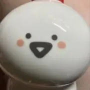 たこの画像