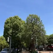 みここの画像