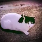 ミラクル