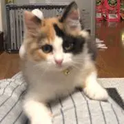 あ
