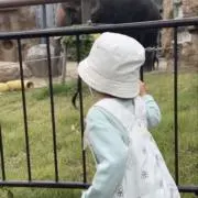 すももも桃の画像