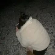ゆあ
