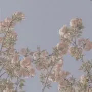 TNの画像