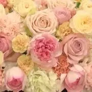 Wawaの画像