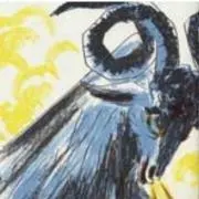 ホタルチャンプルーの画像