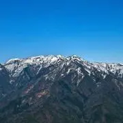 林の画像