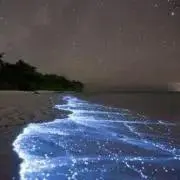 TimTamプロフ必読お願いします^ ^の画像