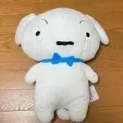 クローバーの画像