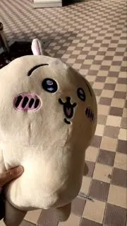 うさぎの画像