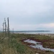 せーりーの画像