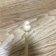 タカの画像