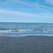 海夏の画像