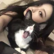 ໒꒱ ⋆゜の画像