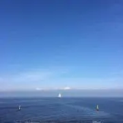 ポン