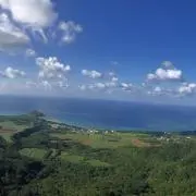 まぐ太郎の画像