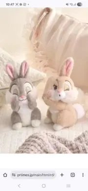 とんすけ&ミスバニーの画像