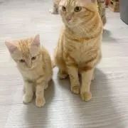 おもり
