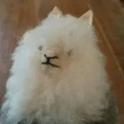 tutuの画像