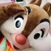 チョコチップの画像