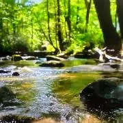 KOTA310の画像