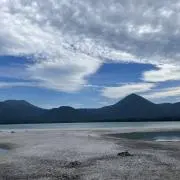 リン【プロフ必読】の画像