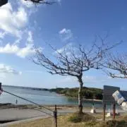 とんとんみーの画像