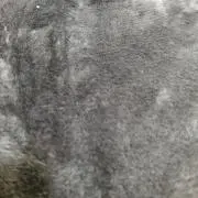 たろう