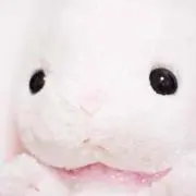 プロフ必読