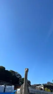 なかた