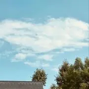 !!!の画像